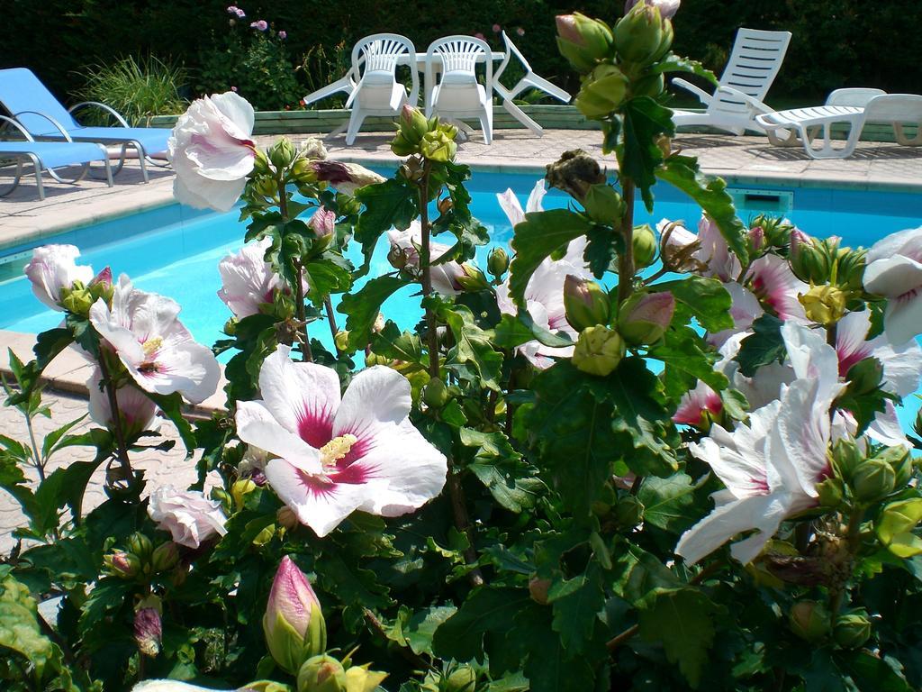 Chambres D'Hotes Le Clos Des Senteurs Malemort Zewnętrze zdjęcie